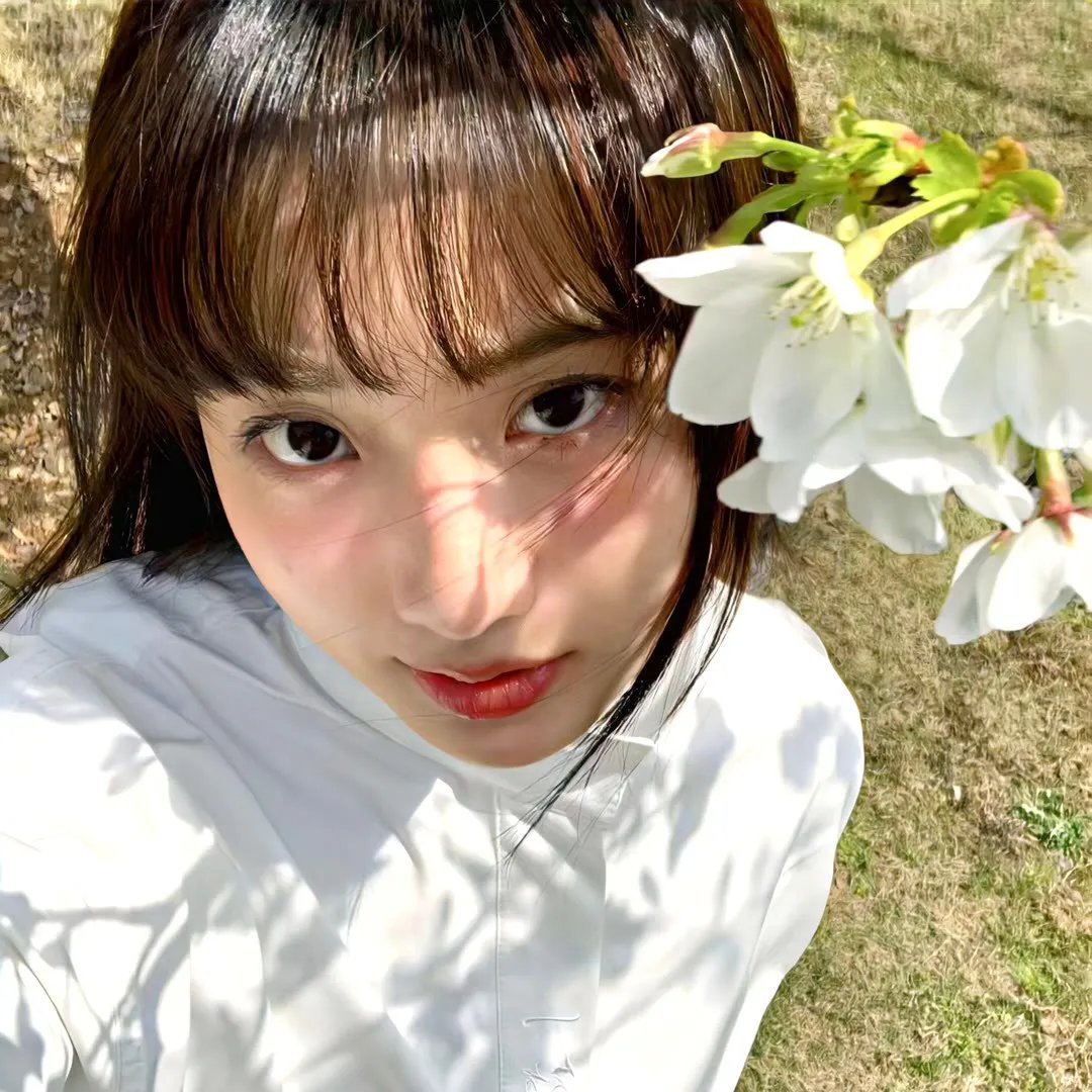 棉花白了