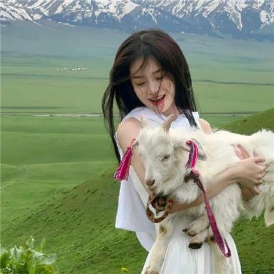 大雄与龙之骑士